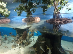 Aquarium of Guadeloupe foto: Katarzyna Kowalska