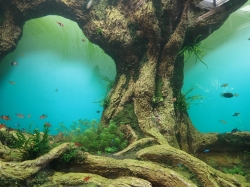 Projekt dżungla - dużo plastiku, choć pomysły jak przedstawić życie w wodzie całkiem ciekawe foto: Kasia Koj