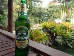 Nie samym ryżem człowiek żyje :) Najlepsze w Tajlandii to piwo Chang | Charter.pl foto: Kasia Koj