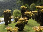 Ogrody botaniczne na żółto foto: Kasia