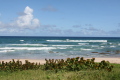 karaibska plaża  foto: Kasia 