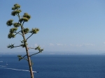 Bonifacio jest atrakcyjnie położonym nad Cieśniną Świętego Bonifacego miasteczkiem w widokiem na Sardynię.  foto: Kasia