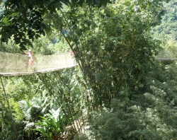 Ogród botaniczny "Jardin de Balata"  foto: Ela