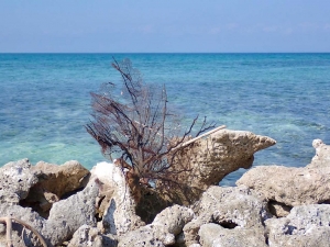 Pelican Cays foto: Kasia & Peter
